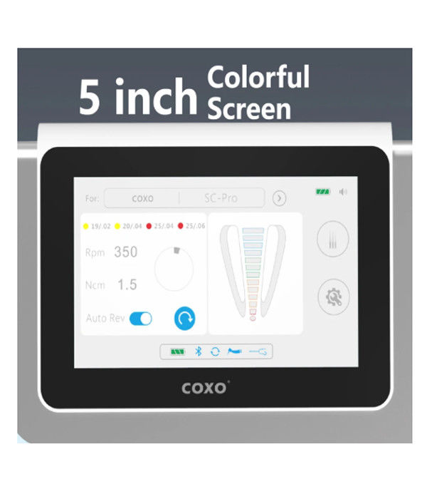 Dental C Master Coxos Endomotorlu Dental Elektrik Motor Tümü Birde fırçasız Elektrik Led Mikromotor Endodontik