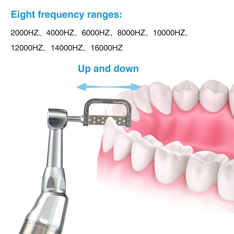 Dental Elektrik Kablosuz lPRS sistemi Ortodontik Motor Dental Elektrik Kablosuz IPR Sistemi Ortodontik & Poliş 2'de 1 Motor Tip-C Şarj Portu